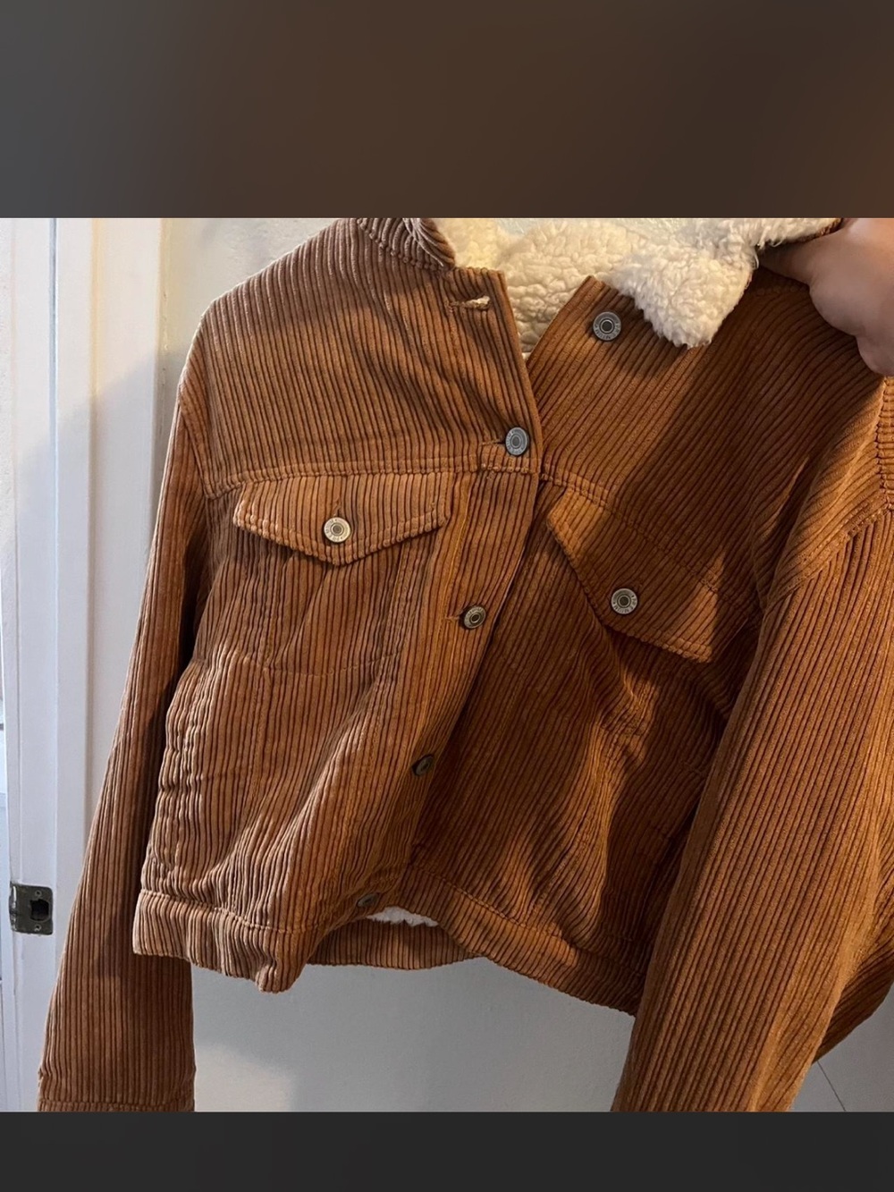 Love Tree Cropped Corduroy Teddy-Lined Jacket in Brown